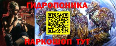 спайс Новодвинск