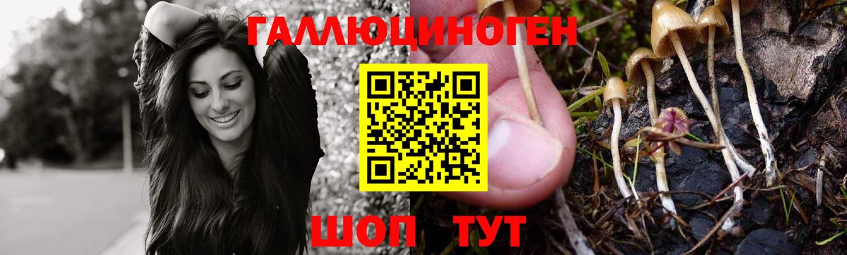 Пенза  Псилоцибиновые грибы Psilocybine cubensis  продажа наркотиков  Вход с VPN  Галлюциногенные грибы ЛСД 