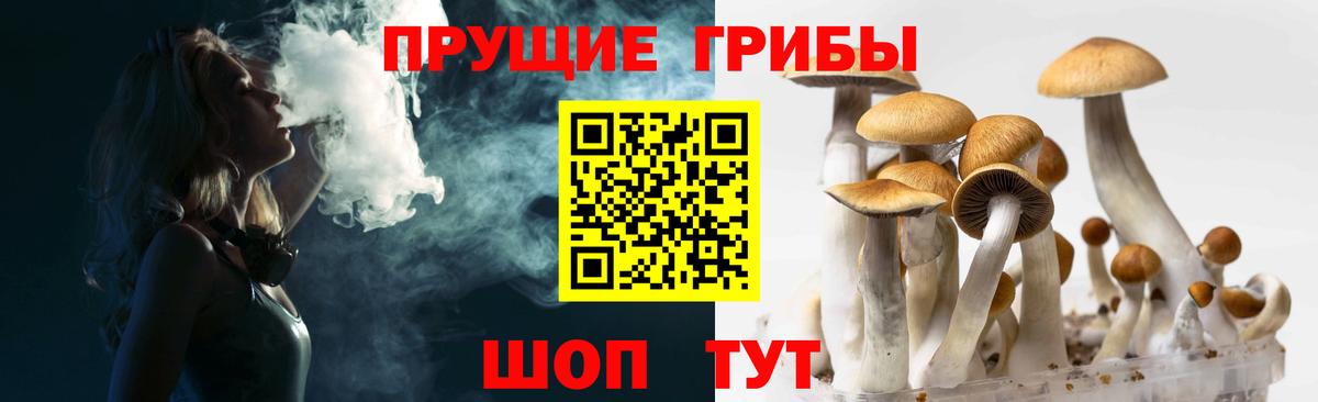 Галлюциногенные грибы Cubensis Пенза