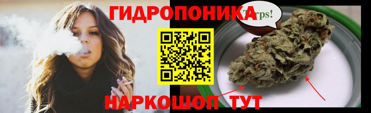 Бошки Шишки гибрид  Вход с VPN  Каннабис тримм  Бошки марихуана LSD WEED  Конопля White Widow  Пенза 